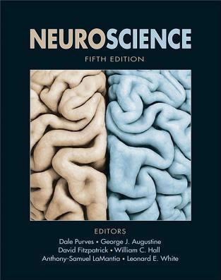 Neuroscience 5th Edition Purves et al 2012